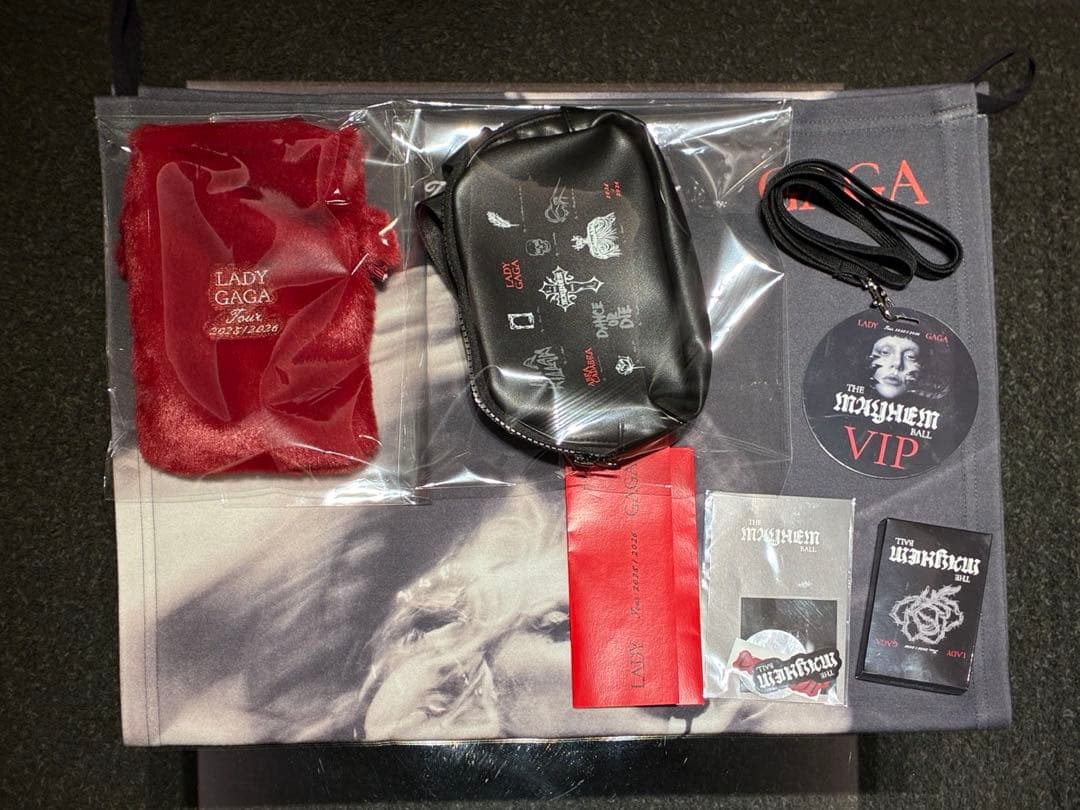 Lady Gaga VIP GOLDグッズセット