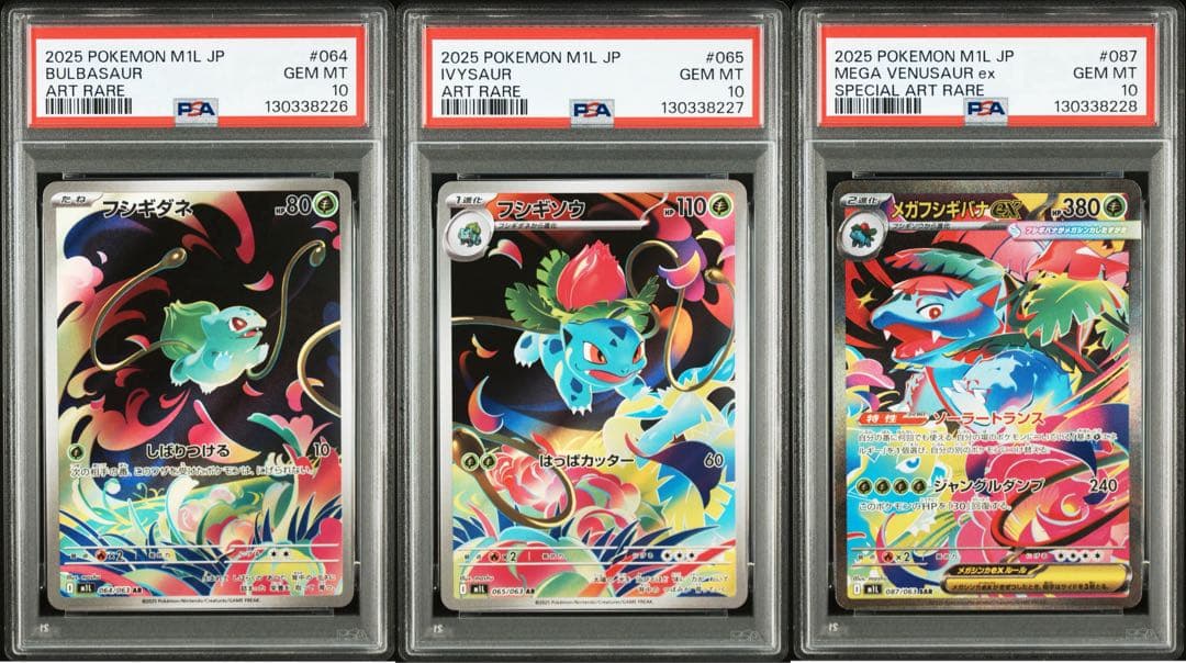 【PSA10 3連番】フシギダネ フシギソウ メガフシギバナex SAR セット