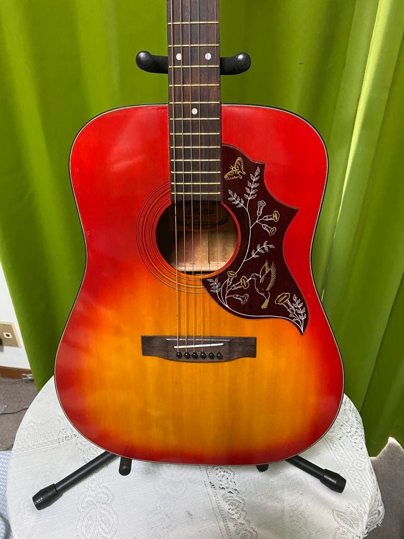 新春特価カントリーしようぜ！ ハミングバードHOTTAエレアコ音出し良好