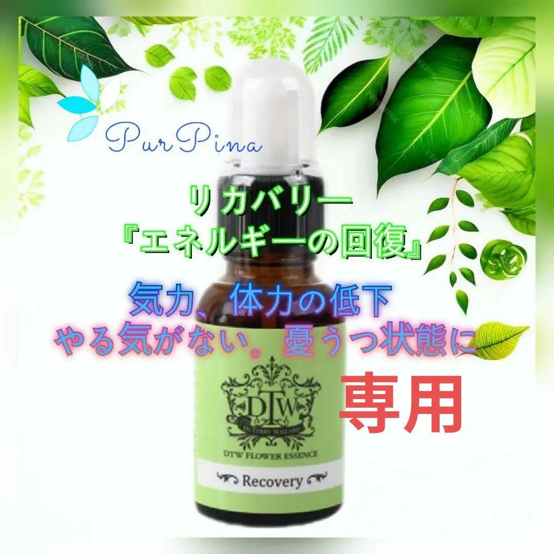 【専用】リカバリー（回復）《DTWフラワーエッセンス》フォーミュラ　他