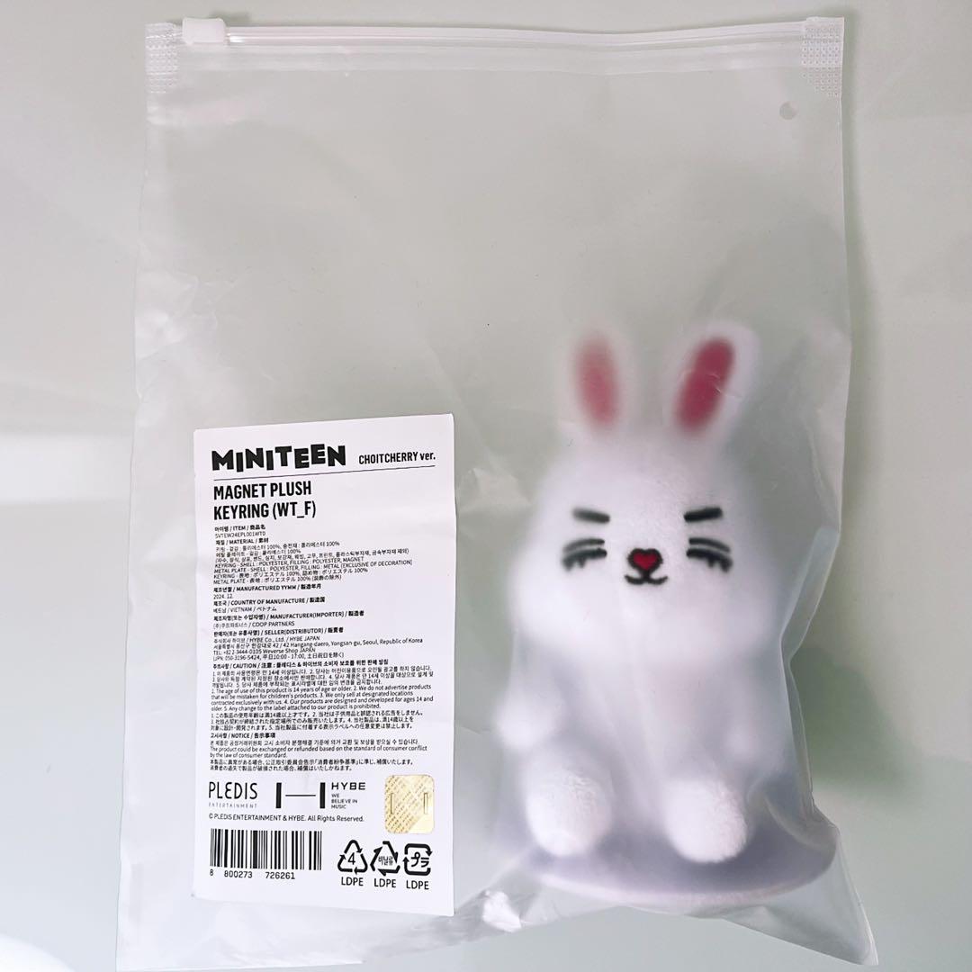 SEVENTEEN MINITEEN チェチェリー マグネットキーリング - メルカリ