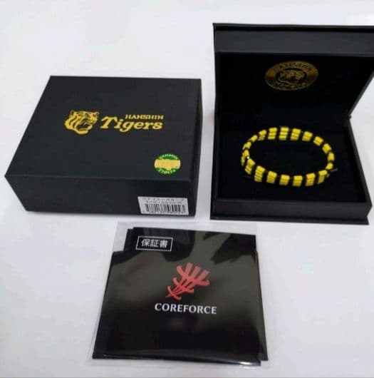 予約品　COAEFORCE（コアフォース）正規品LOOP タイガースモデル70㎝