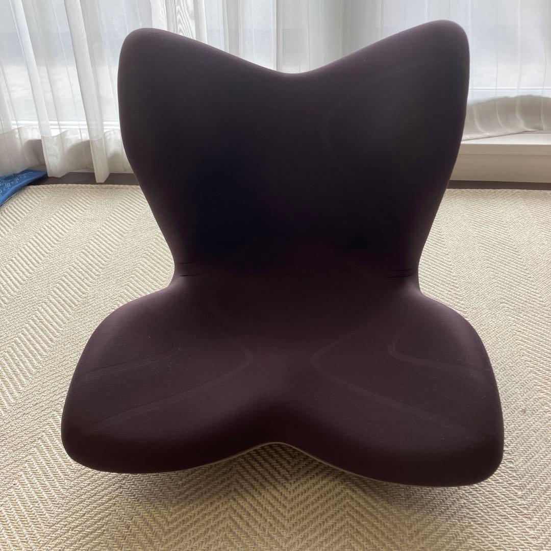 矯正用品・補助ベルト Style PREMIUM