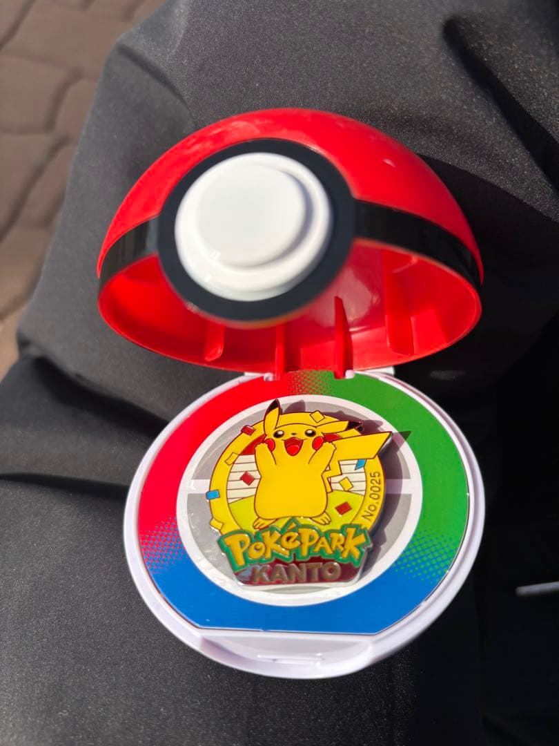 ポケパークカントー 0025 ピカチュウ　ピンズ ポケモン ピンバッジ