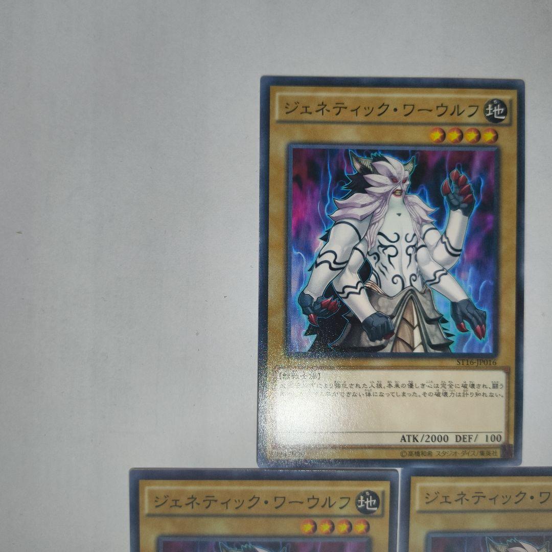 遊戯王OCG : ジェネティック・ワーウルフ（ST16-JP016）3枚セット