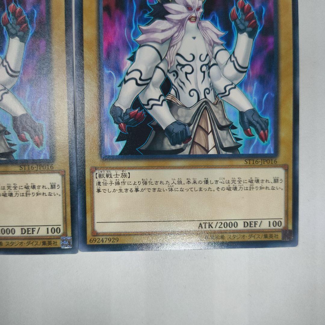 遊戯王OCG : ジェネティック・ワーウルフ（ST16-JP016）3枚セット