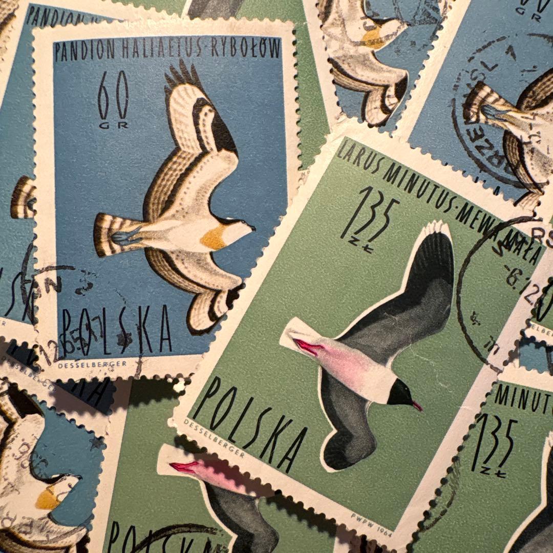 おしゃれな外国切手 ポーランド 鳥 2種 大型 30枚 海外切手 紙もの 古
