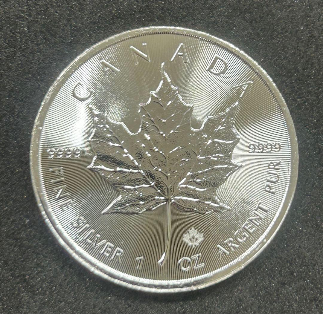 カナダ メープルリーフ 1オンス銀貨 2019年　ランダム 純銀コイン メイプル銀貨 1オンス コインケース付き カナダ王室造幣局