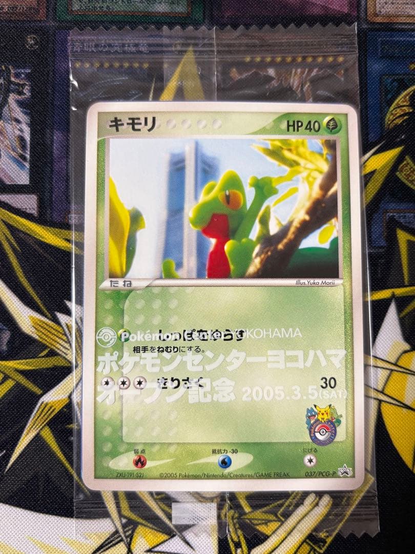 ポケモンカード キモリ ポケモンセンターヨコハマ プロモ 未開封 ポケモンカード キモリ 未開封 ポケモンセンターヨコハマ