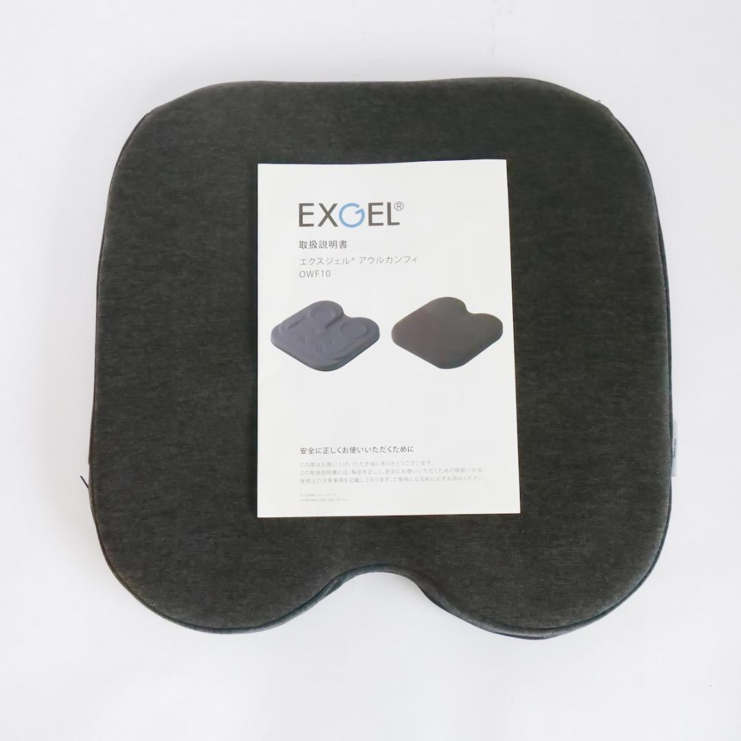 EXGEL エクスジェル　アウルカンフィクッション 「 グレー 」