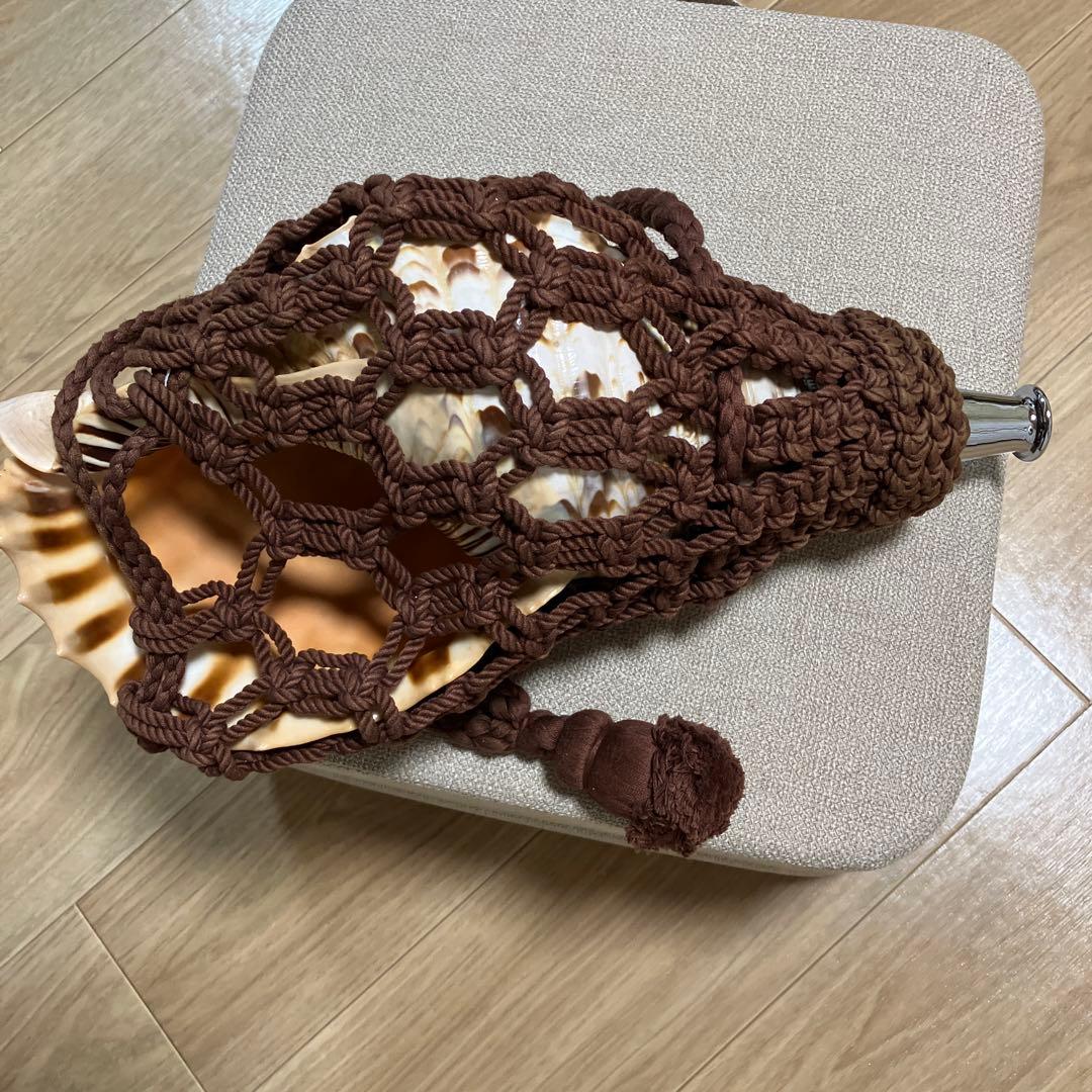 法螺貝 法螺貝 32cm 540g - Kaiショップ