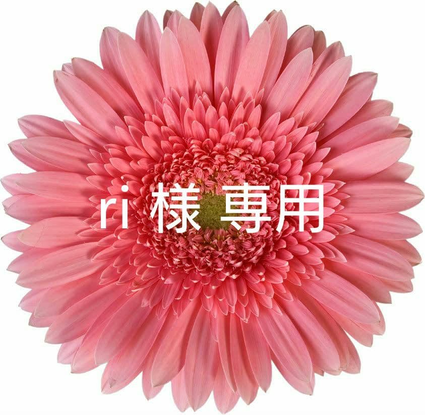 【匿名配送】 ri