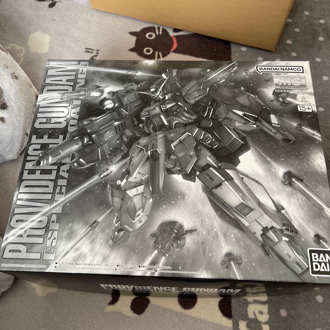 新品未組立　MG プロヴィデンスガンダム スペシャルコーティングver.