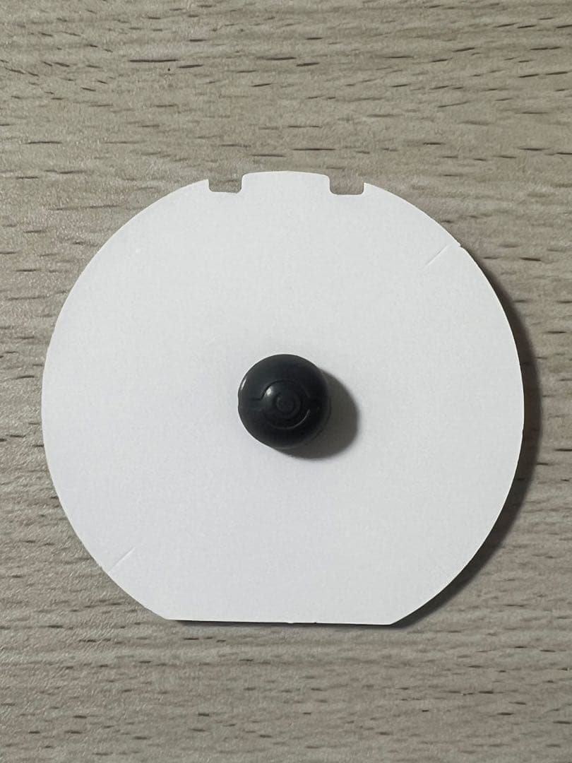 ポケパークカントー カイリュー ピンズ ピンバッジ ポケモン バッジ