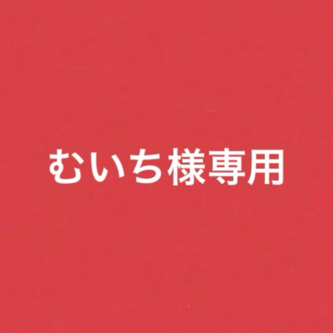 むいち 竈門炭治郎 セット済みウィッグ マネキン付き