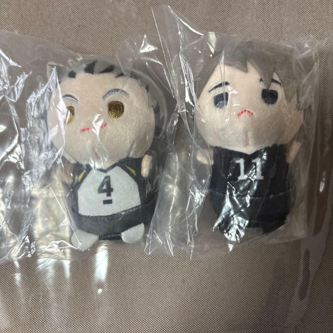 ハイキュー!! もちもちマスコットたっち 木兎光太郎 宮治 - メルカリ