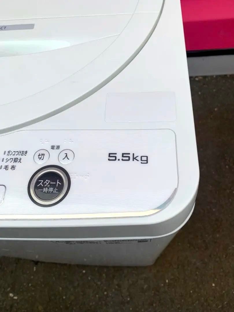 高年式SHARP 縦型洗濯機 5.5kg