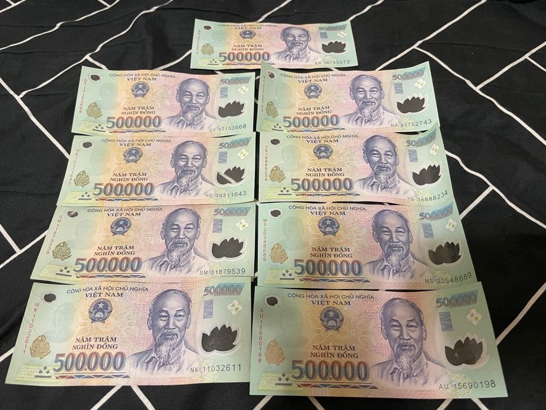 旧貨幣　ベトナムドン　非現行 100枚 【鑑定保証書付】ベトナム 500,000 ドン dong Vietnam Dong 高額