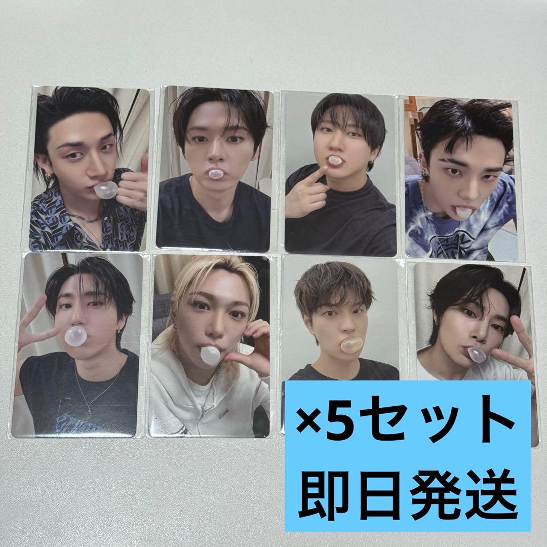 StrayKids スキズ FANS ヨントン トレカ コンプ 5セット