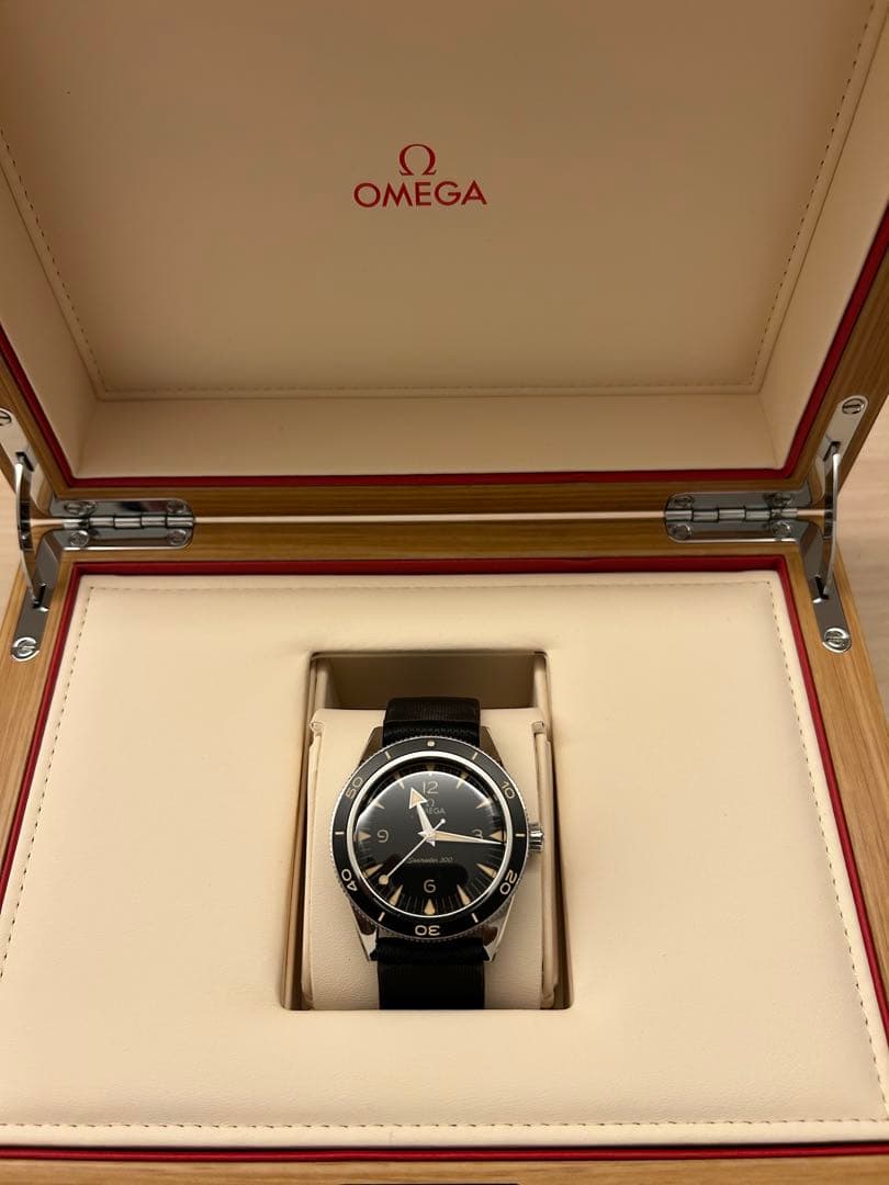 スナフキン様限定　オメガ　シーマスター300