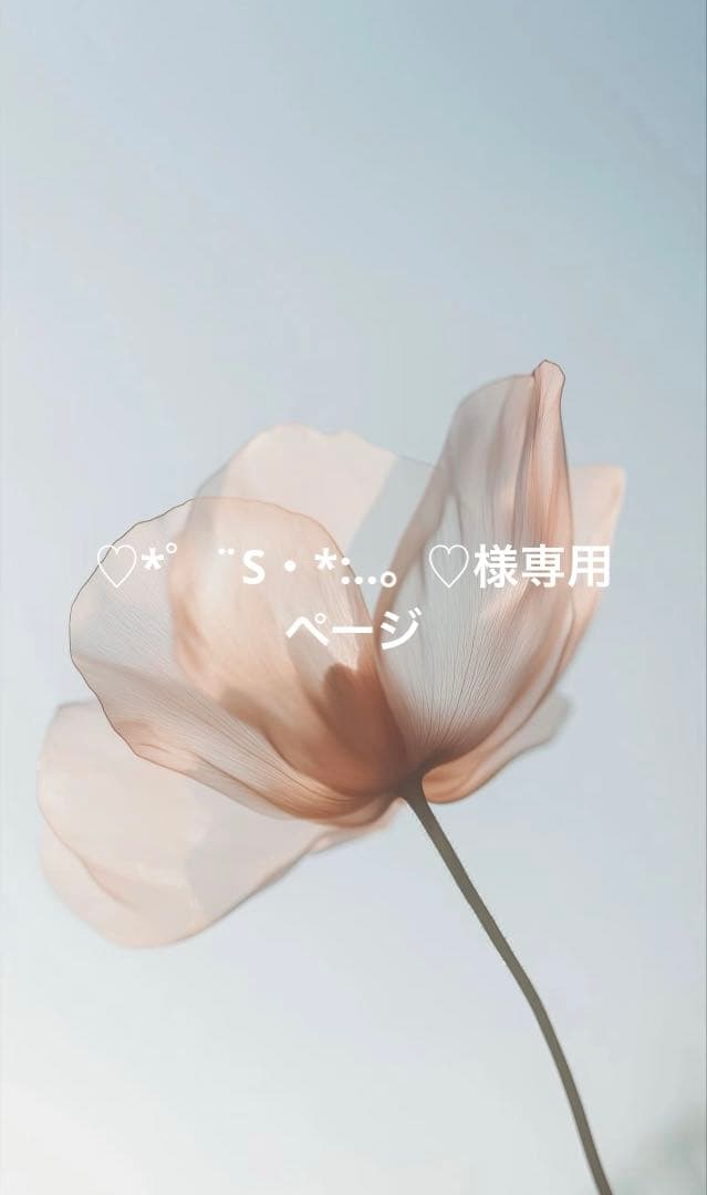 ♡*゜¨S・*:..。♡ページ