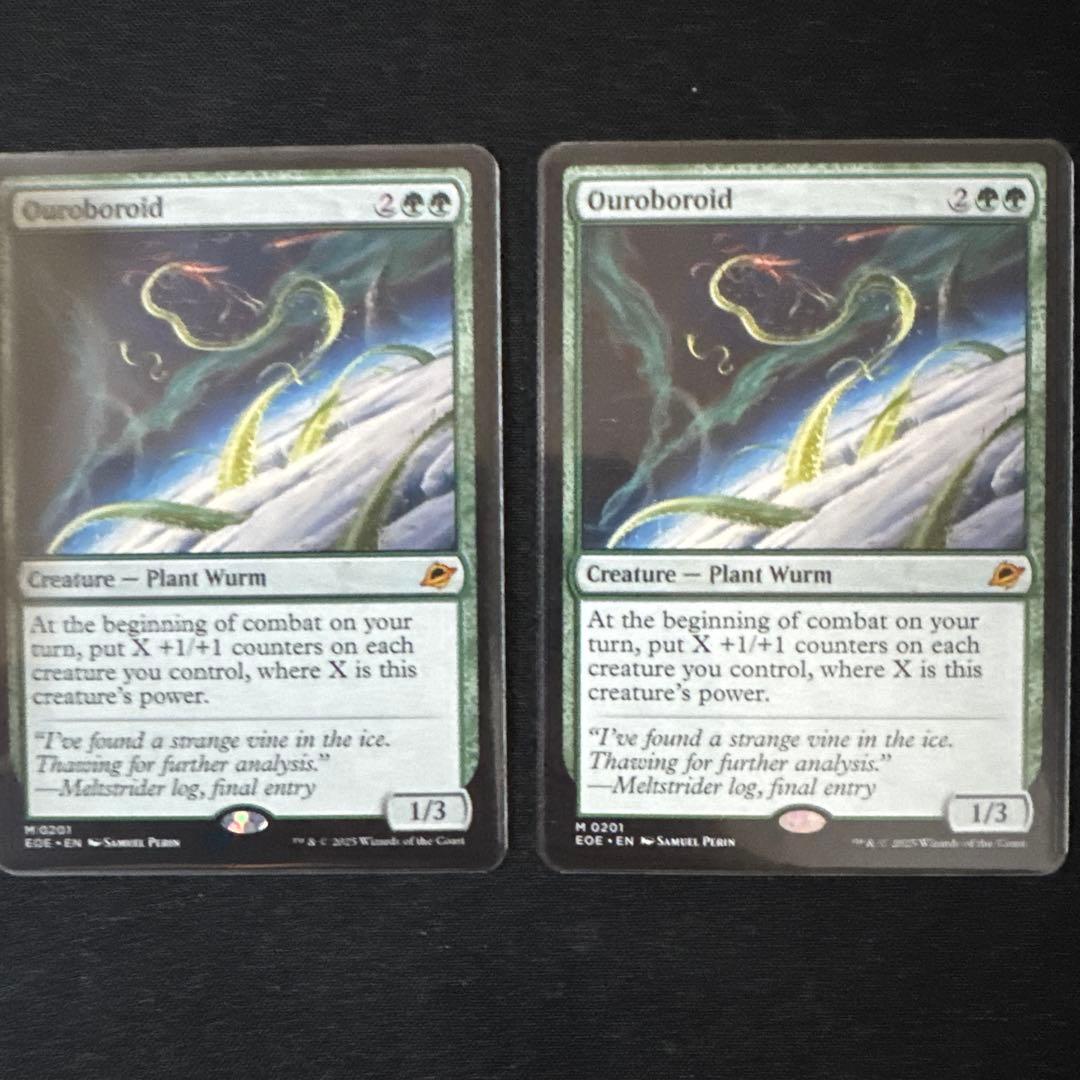 Ouroboroid ウロボロイド　英語　二枚セット 618v1539.jpg