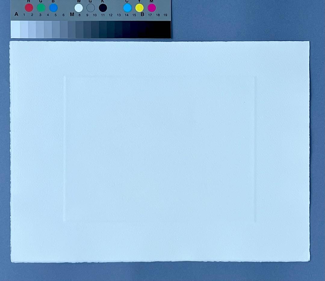 Fujiko Hemming 真作保証フジ子ヘミングFuzjko Hemming - メルカリ