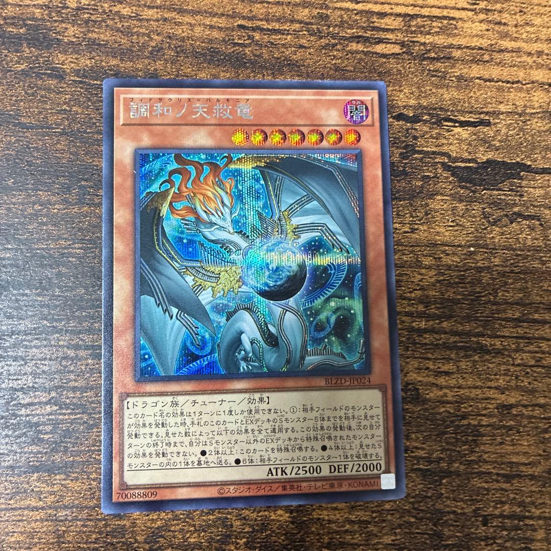 調和ノ天赦竜　シークレット