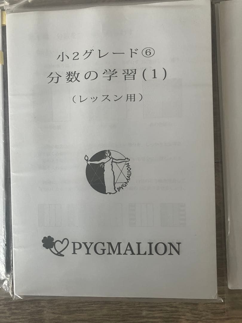 美品・袋入】ピグマリオン グレード別10冊セット 図形の学習 分数 整数