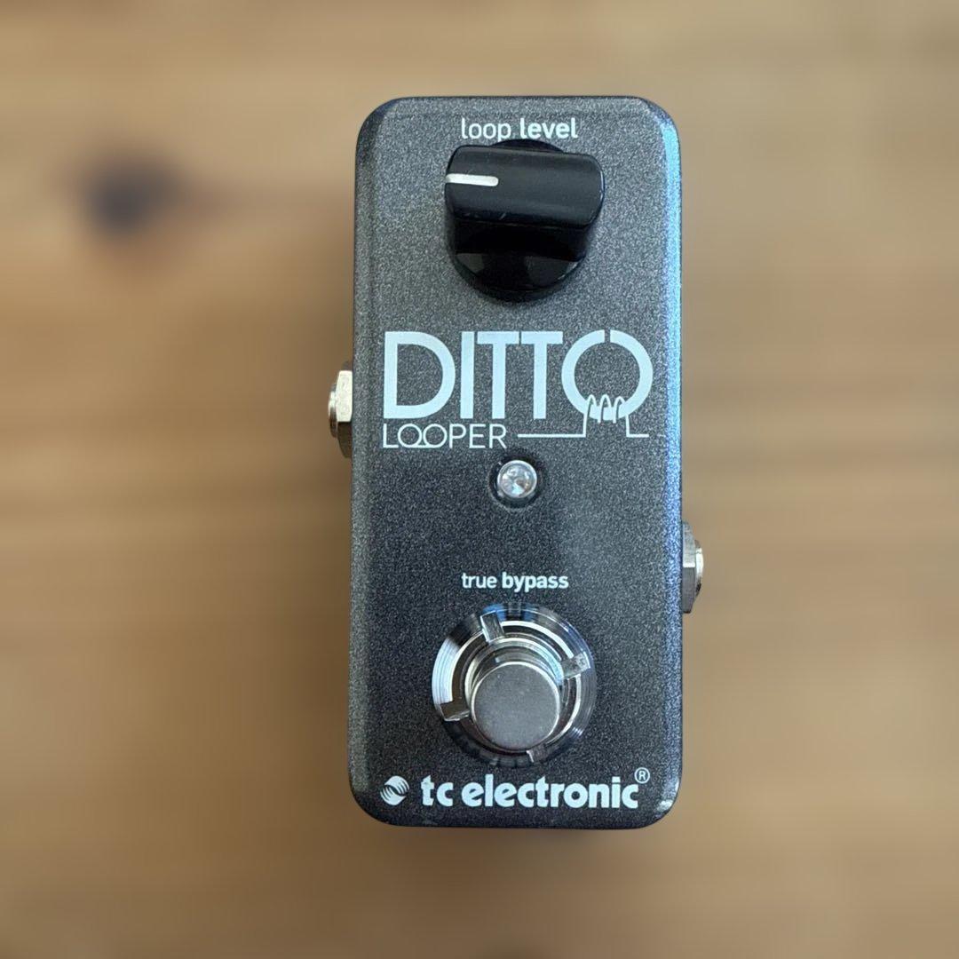 ギター tc electronic Ditto Looper