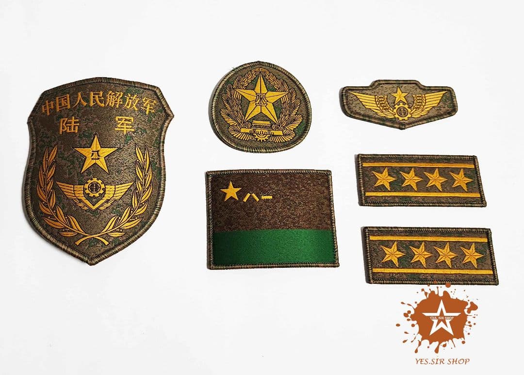 中国軍 中国人民解放軍 陸軍 実物 21式 階級章 部隊章 ワッペン 大校