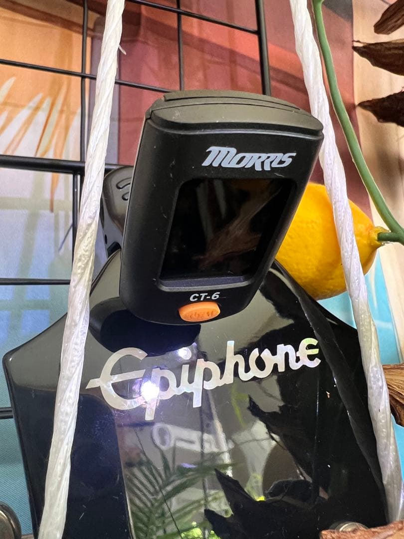 Epiphone Casino SV 極美品 最終値下げ￼ - メルカリ