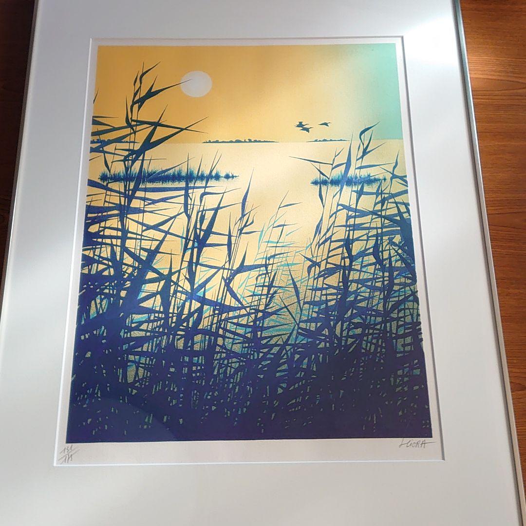 ダニエルスキオラ　（夏）