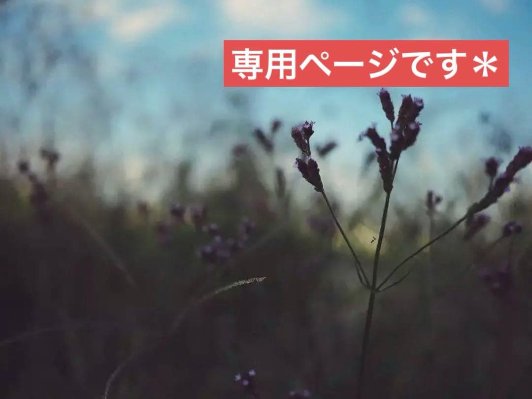 tamaページです☆