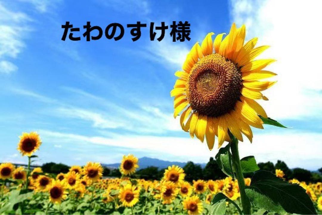 たわのすけ様 Amazon.co.jp: 另一半 (English Edition) 電子書籍: 王, 詩瑩: 洋書