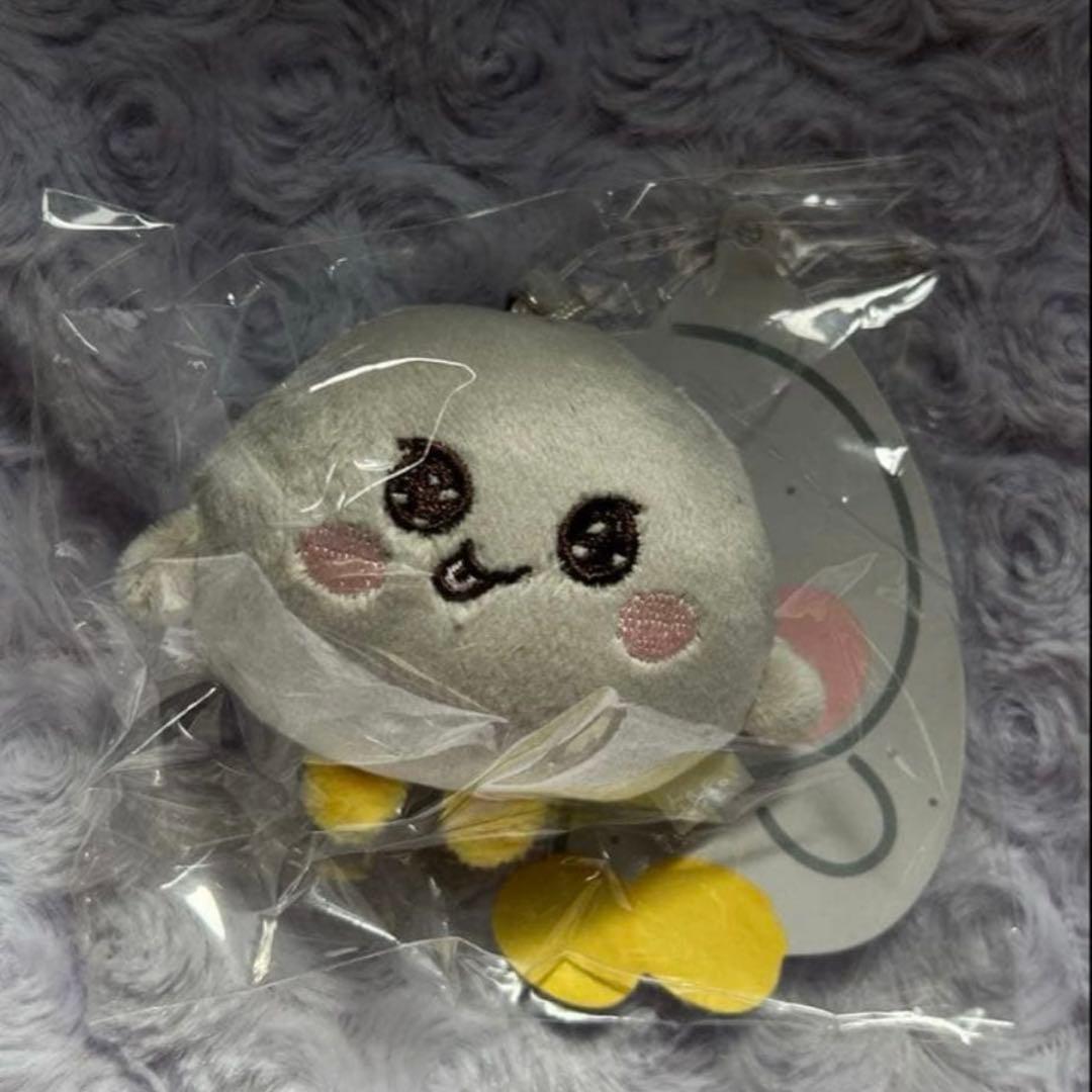 匿名配送 RIIZE ソンヨンドリ ミニ ウンソク ぬいぐるみ キーリング