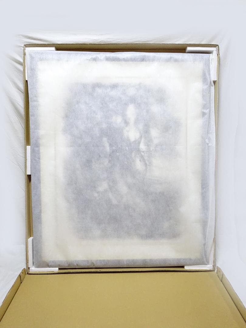 天野喜孝 #吸血鬼 #版画 #リトグラフ #共箱 #アールビバン保証書