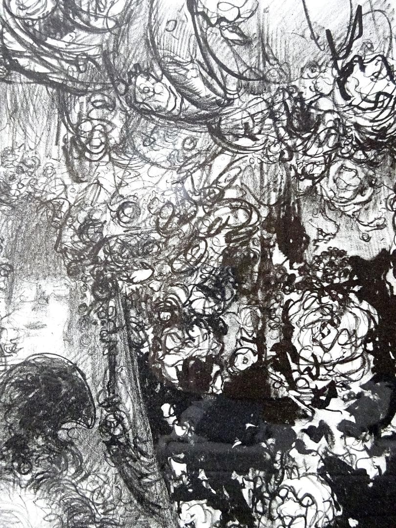 天野喜孝 #吸血鬼 #版画 #リトグラフ #共箱 #アールビバン保証書