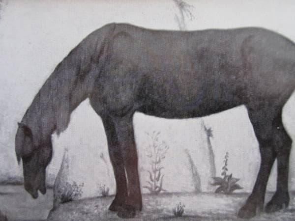 小杉未醒　飲馬　画集より　状態良好　新品額付