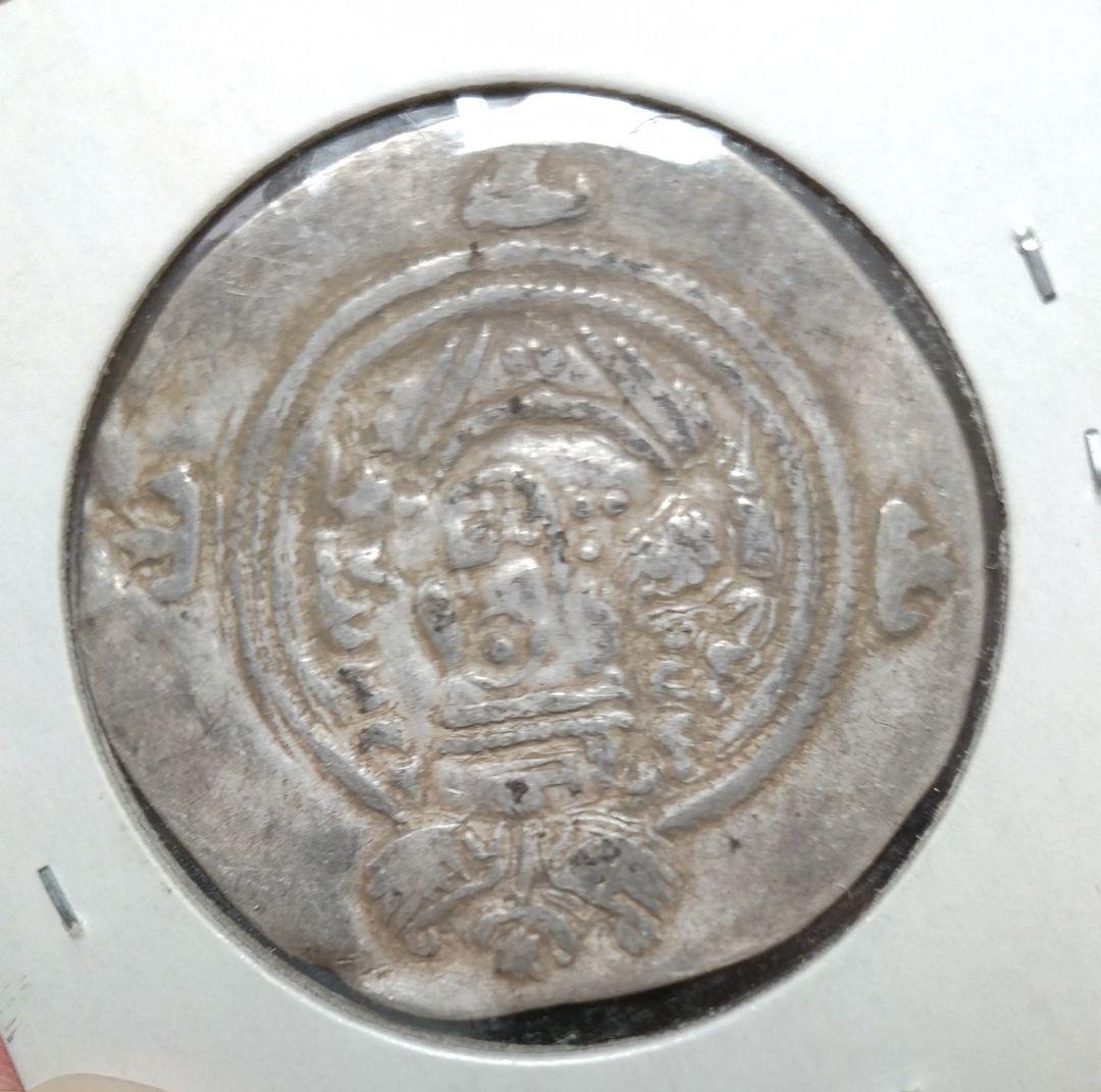 古代銀貨 神像と人物デザイン ニウエ 2025年 琥珀の道 スロベニア 1ドル銀貨琥珀付 アンティーク