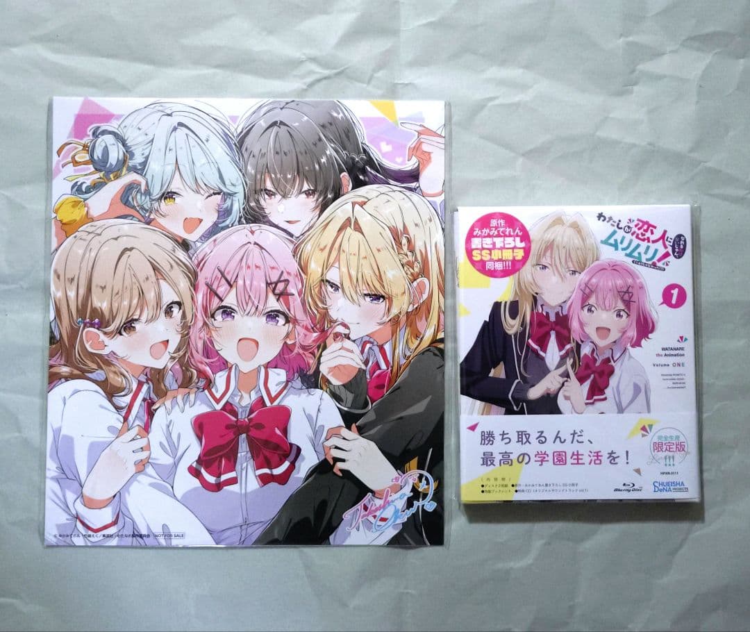 わたしが恋人になれるわけないじゃん,ムリムリ!(※ムリじゃなかった!?) 1巻 わたしが恋人になれるわけないじゃん、ムリムリ！ （※ムリじゃなかった