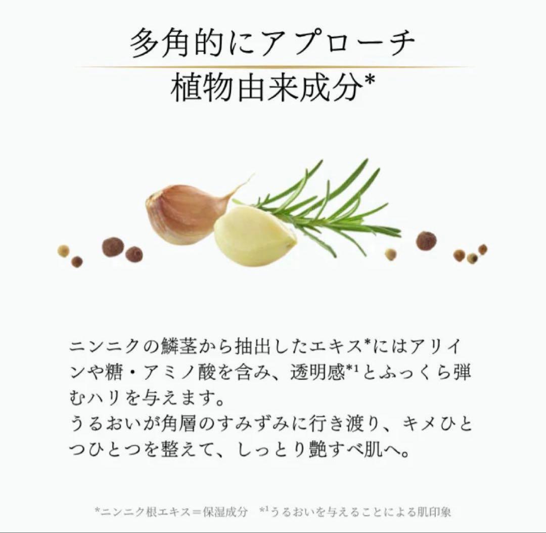 【新品】 GARLINUローション 2本セット／未使用、未開封品