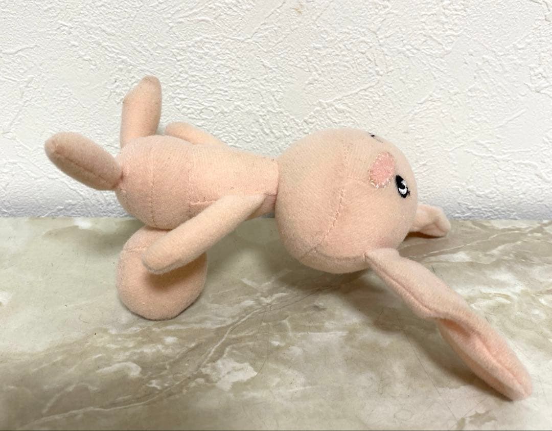 激レア！どこでもいっしょ ジュン ぬいぐるみ 井上トロ 非売品 入手