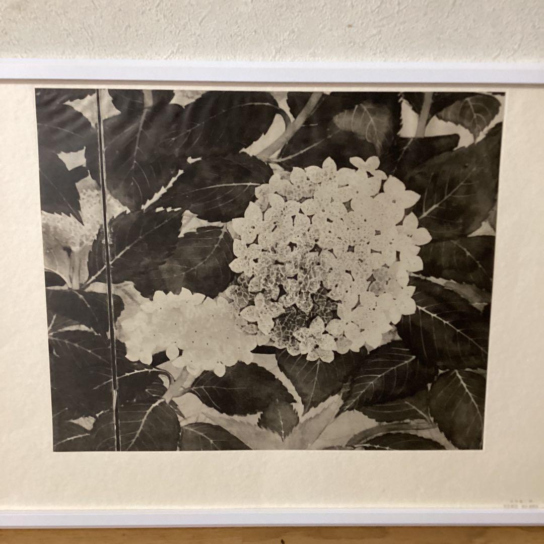 天才画家　速水御舟　便利堂監修　作品大作編　【翠苔緑芝部分紫陽花之図】NO 28