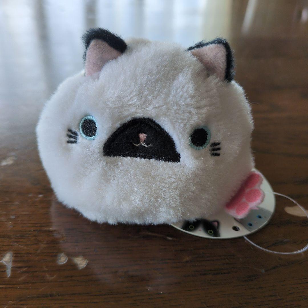 ねこだんご　ぽいんてっど