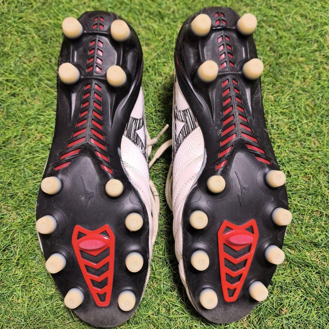 ☆りょう☆Morelia β Japan