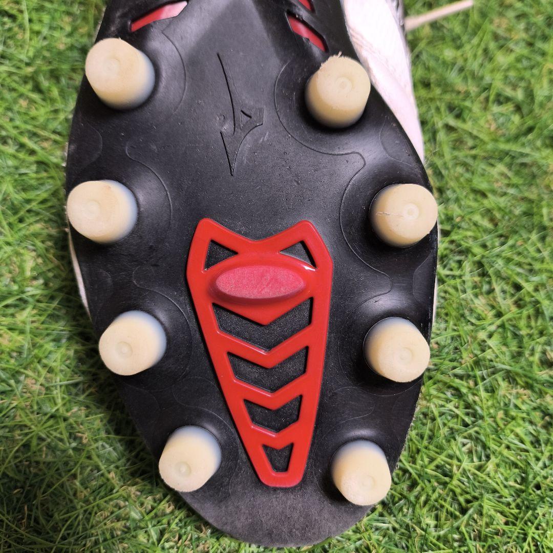 ☆りょう☆Morelia β Japan