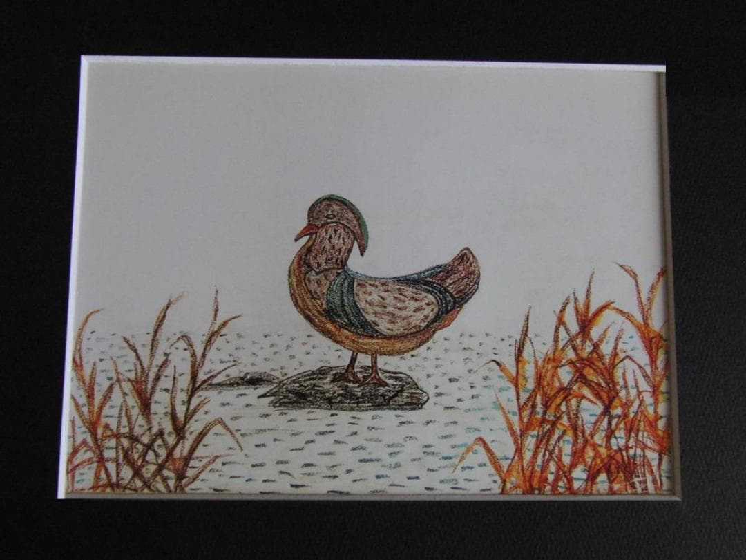 山下清、【水鳥】、希少な額装用画集より、美品、日本人画家、新品額装付