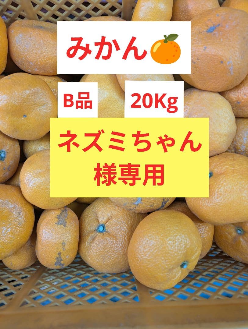 みかん ネズミちゃん様専用 - メルカリ