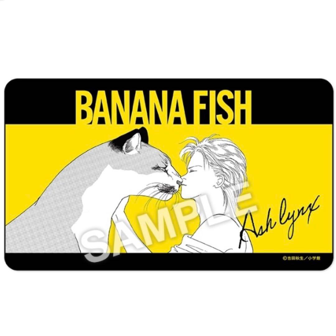 韓国限定 鳴潮 キャンパス ランダムフォトカード 10包